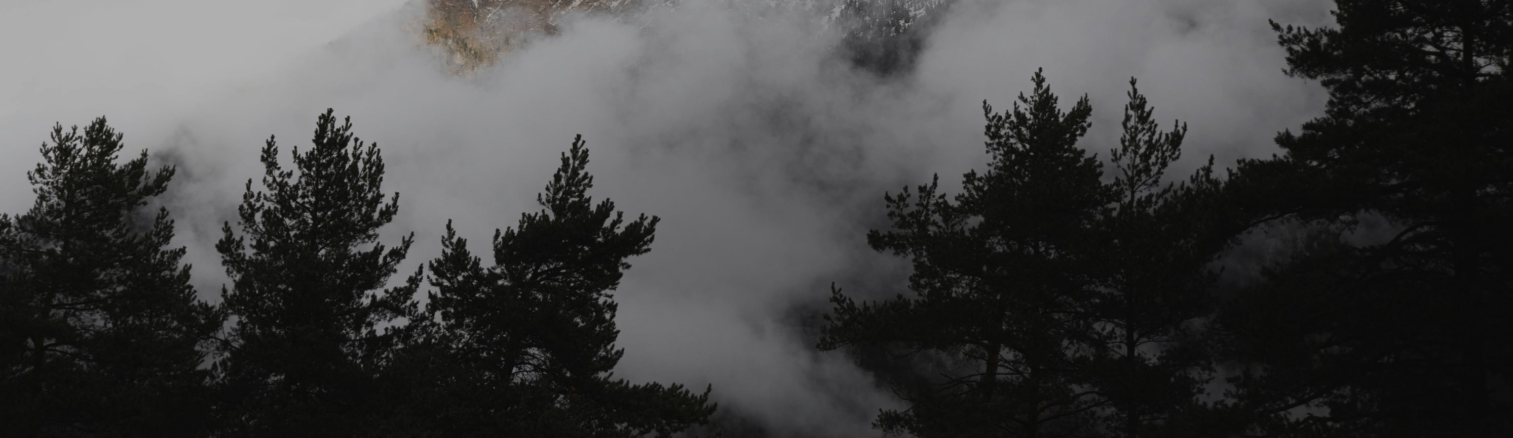 Shop our end of season sale with up to 65% off clearance!