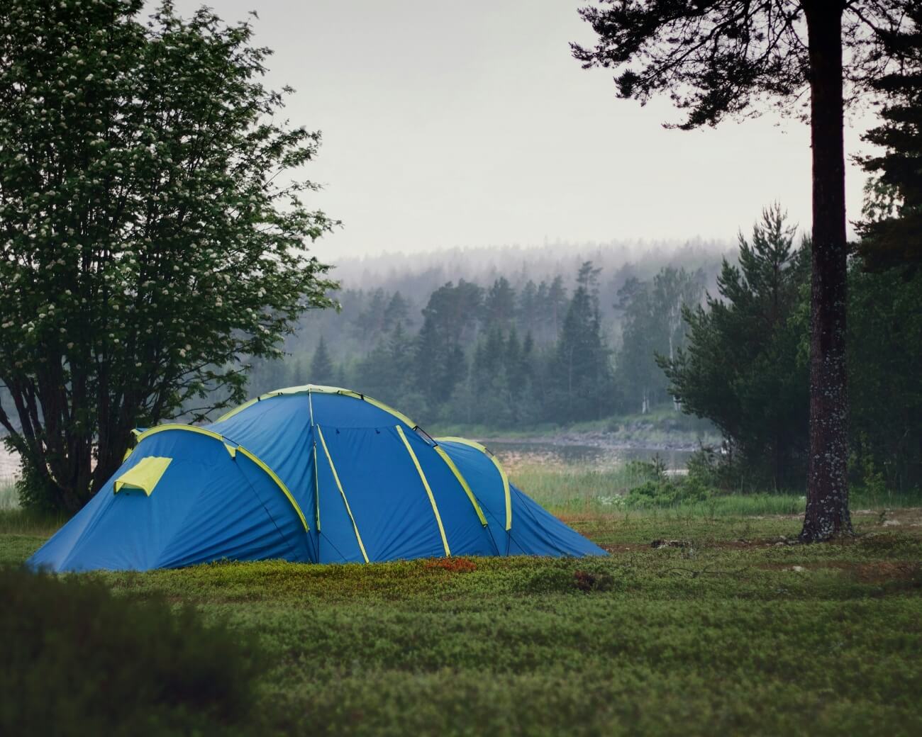 Read more about dispersed camping.