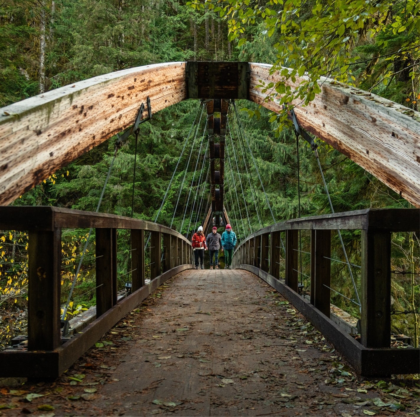 Click to read more about the Kachess Ridge Trail.